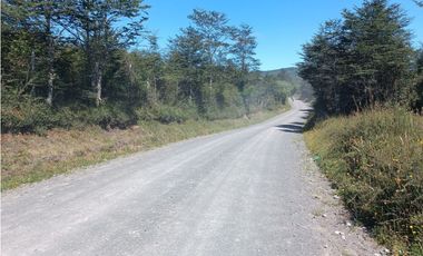 🌿 Venta de Terrenos de 5,8 Hectáreas – Chadmo Central, Chiloé