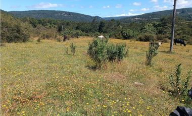 🌿 Venta de Terrenos de 5,8 Hectáreas – Chadmo Central, Chiloé