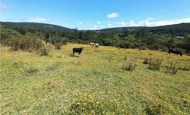 🌿 Venta de Terrenos de 5,8 Hectáreas – Chadmo Central, Chiloé
