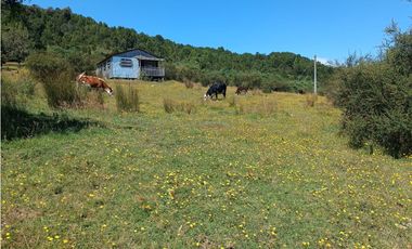 🌿 Venta de Terrenos de 5,8 Hectáreas – Chadmo Central, Chiloé