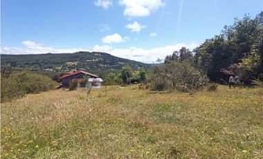 🌿 Venta de Terrenos de 5,8 Hectáreas – Chadmo Central, Chiloé