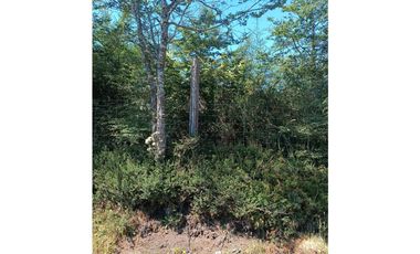 🌿 Venta de Terrenos de 5,8 Hectáreas – Chadmo Central, Chiloé