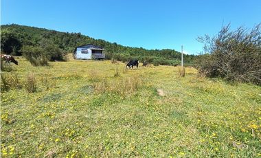 🌿 Venta de Terrenos de 5,8 Hectáreas – Chadmo Central, Chiloé