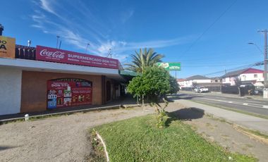 VENTA LOCALES COMERCIALES CON PATENTE DE ALCOHOLES,   THNO