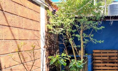 Casa sola en renta en El Santuario, San Cristóbal de las Casas, Chiapas