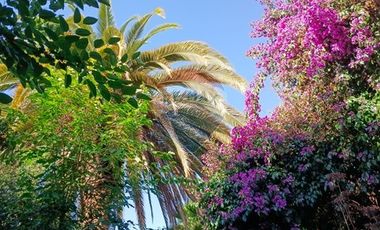 Linda y Antigua - Casa en Pedro de Valdivia Norte