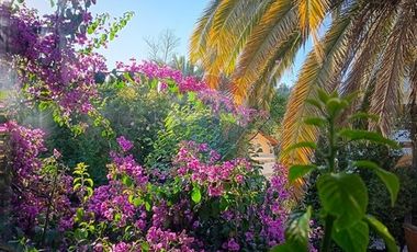 Linda y Antigua - Casa en Pedro de Valdivia Norte