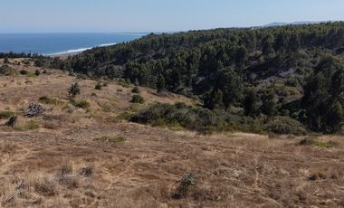 Terreno exclusivo a minutos Punta Lobos