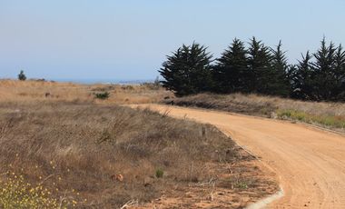 Terreno exclusivo a minutos Punta Lobos