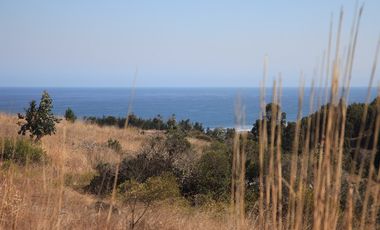 Terreno exclusivo a minutos Punta Lobos