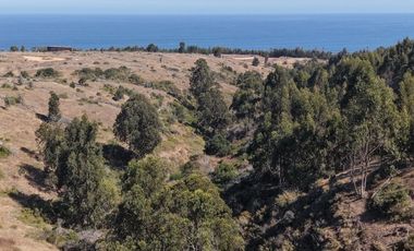 Terreno exclusivo a minutos Punta Lobos