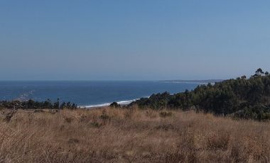 Terreno exclusivo a minutos Punta Lobos