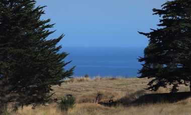 Terreno exclusivo a minutos Punta Lobos