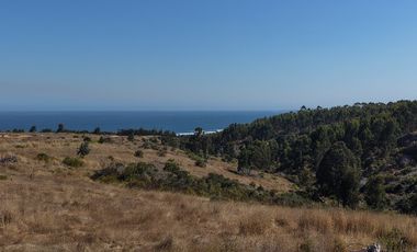 Terreno exclusivo a minutos Punta Lobos