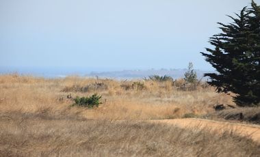 Terreno exclusivo a minutos Punta Lobos