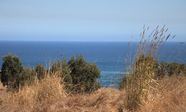 Terreno exclusivo a minutos Punta Lobos