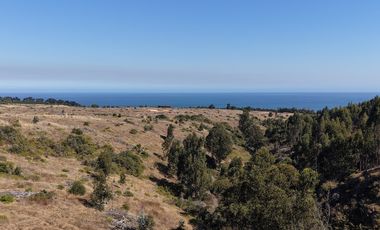 Terreno exclusivo a minutos Punta Lobos
