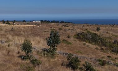 Terreno exclusivo a minutos Punta Lobos