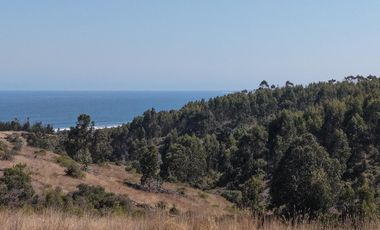 Terreno exclusivo a minutos Punta Lobos