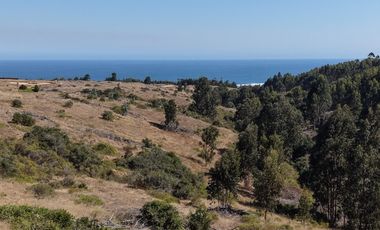 Terreno exclusivo a minutos Punta Lobos