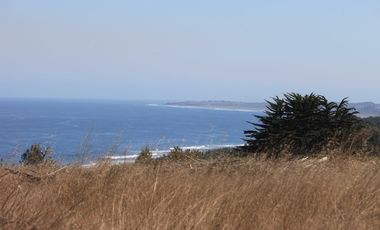 Terreno exclusivo a minutos Punta Lobos