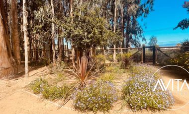 Precioso departamento en Algarrobo Norte