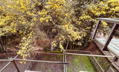 Departamento en arriendo por año corrido, Algarrobo