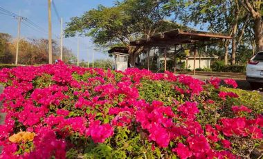 Modernized Golf Condo in Hua Hin at Palm Hills Golf Resort