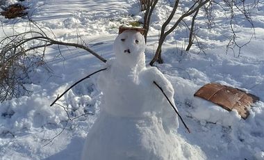 Parcela en Venta en los lleuques