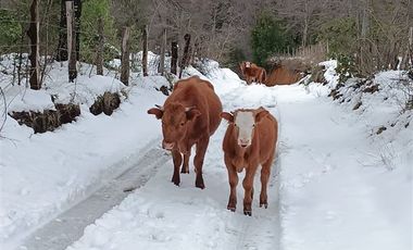 Parcela en Venta en los lleuques