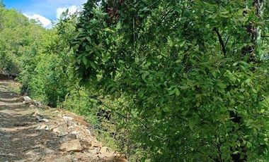 Parcela en Venta en los lleuques