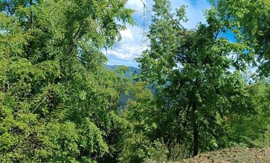 Parcela en Venta en los lleuques