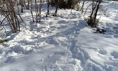 Parcela en Venta en los lleuques