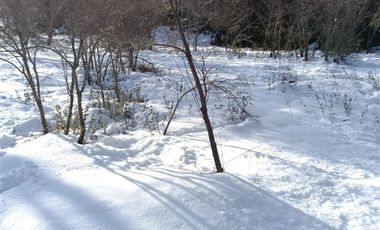 Parcela en Venta en los lleuques