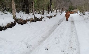 Parcela en Venta en los lleuques