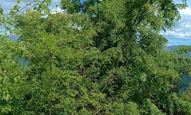 Parcela en Venta en los lleuques