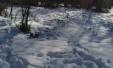 Parcela en Venta en los lleuques