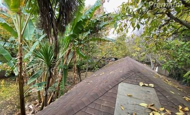 Casa en Arriendo en Los Nogales de Don Toribio Parcelación