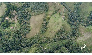 LOTE EN VENTA EN EL RETIRO, MONTEBELLO ANTIOQUIA