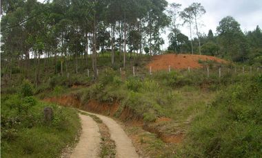 Vendo lote en Copacabana - Autopista Medellín Bogotá.