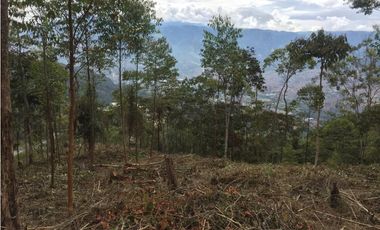 Vendo lote en Copacabana - Autopista Medellín Bogotá.