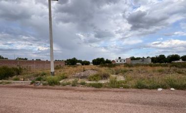 TERRENO EN VENTA  Calle Chaco y Prolongación Coronel Plaza