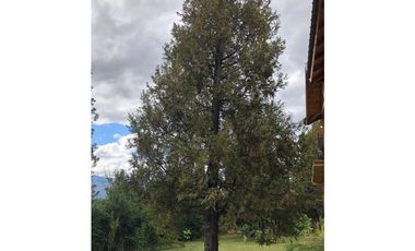 EN VENTA CASA EN LAS GOLONDRINAS