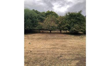 EN VENTA LOTE DE 5000 M2 EN CERRO AMIGO, EL BOLSÓN