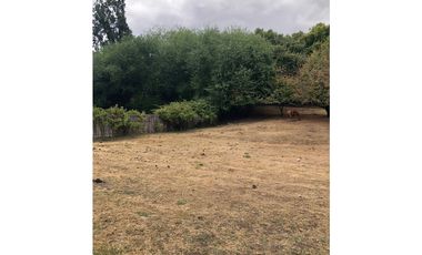 EN VENTA LOTE DE 5000 M2 EN CERRO AMIGO, EL BOLSÓN