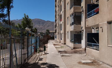 Pedro de Valdivia 31 (1 Est ) [2593-5]