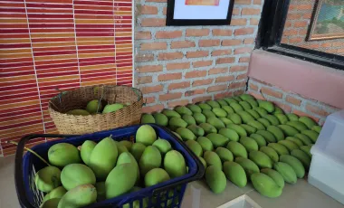 2 Bedroom House for sale in Na Sam, Phetchabun