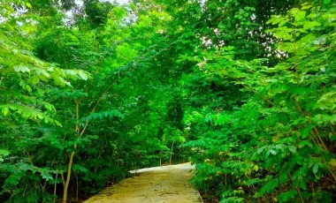2 Bedroom House for sale in Na Sam, Phetchabun