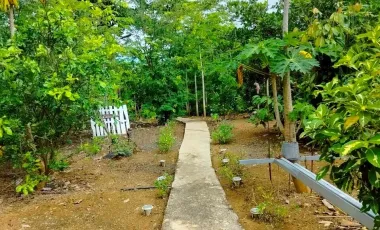2 Bedroom House for sale in Na Sam, Phetchabun