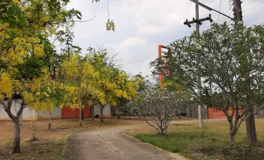 Warehouse for sale in Chiang Khian, Chiang Rai